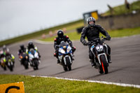 PJ-Motorsport-2019;anglesey-no-limits-trackday;anglesey-photographs;anglesey-trackday-photographs;enduro-digital-images;event-digital-images;eventdigitalimages;no-limits-trackdays;peter-wileman-photography;racing-digital-images;trac-mon;trackday-digital-images;trackday-photos;ty-croes